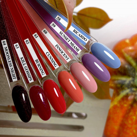 TIES   Гель-лак  10мл  RICARDO   #058